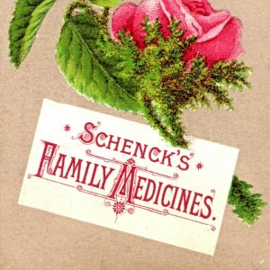 c1880s Quack Schenck's Medicine Victorian Trade Card Pills Rose Art Nouveau C2
