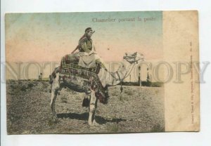 443348 Turkish Ottoman Empire postman on camel Vintage postcard