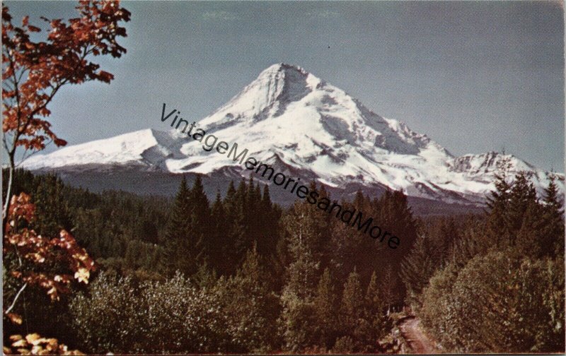 Mt. Hood Near Hood River Valley Oregon Postcard PC339