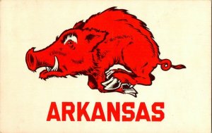 Postcard Arkansas Razorback Let's Go Hogs Vintage Standard View Card