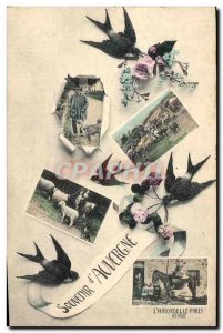 Old Postcard Folklore Auvergne Swallows