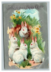 Vintage 1910's Tuck's Easter Postcard White Bunnies Rabbit Hole Yellow Flowers