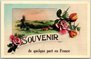 Souvenir De Quelque Part En France Landscape FlowerPostcard