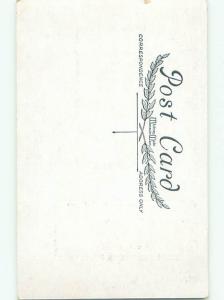 Divided-Back CHRISTMAS BIRDS SCENE Pretty Postcard W8514