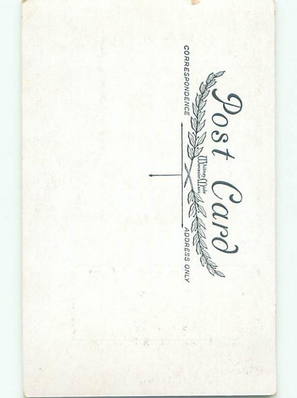 Divided-Back CHRISTMAS BIRDS SCENE Pretty Postcard W8514