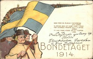 Sweden 1914 Bondetaget Sweden Peasant Armament Support Flag Postcard