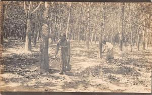 Medan Indonesia Rubber Trees Collecting Real Photo Antique Postcard J45330