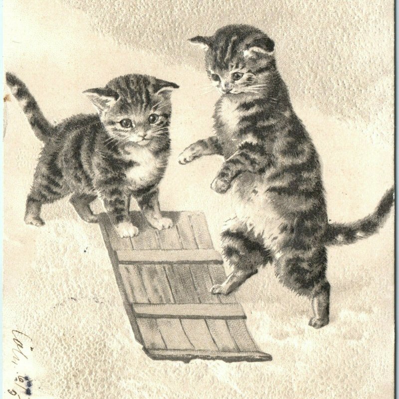 1905 Cute Kittens Sled in Snow Postcard Anthropomorphic Walking Cat Embossed A48 