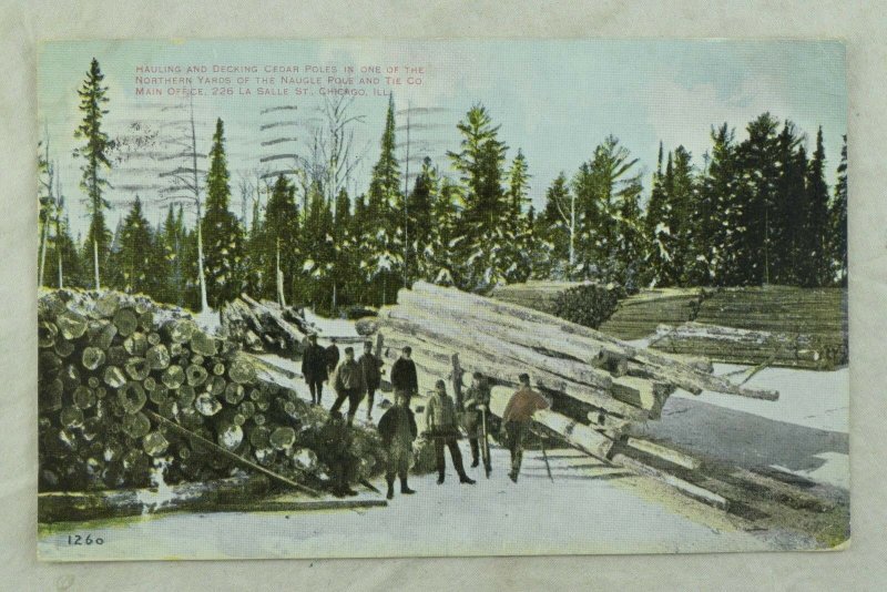 C. 1908 Logging, La Salle St. Chicago, Ill. Vintage Postcard P49