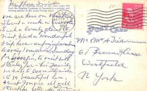 Fishing on Ringling Causeway Sarasota, Florida, USA Postcard