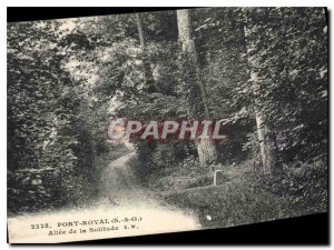 Old Postcard Port Royal O & O Allee of Solitude