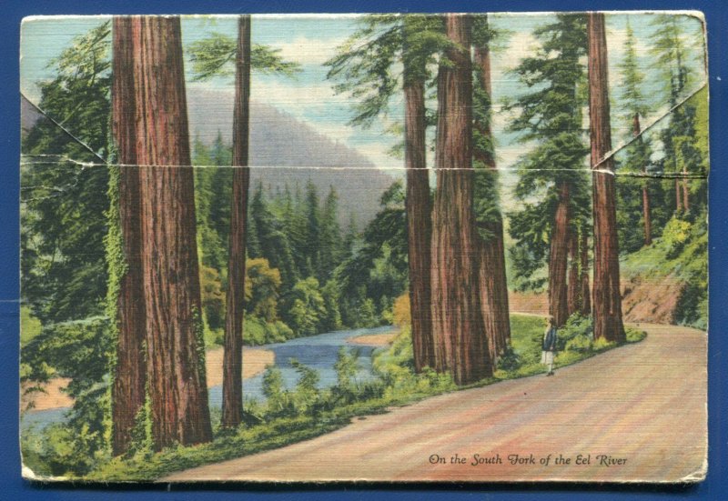 The Redwood Highway California ca linen 1940s postcard folder foldout #2