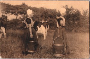 Netherlands Zeeuwse Melkmeisjes Walcheren Milkmaids Cows Vintage Postcard 09.15