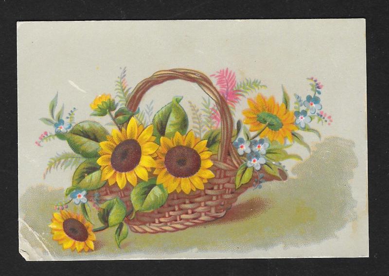 VICTORIAN TRADE CARDS (9) Butler Flower Baskets & Leaves