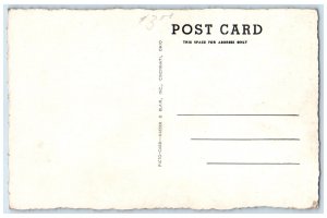 c1940's Roadside Geyser Sinclair Gas And Oils Woodside UT Advertisement Postcard