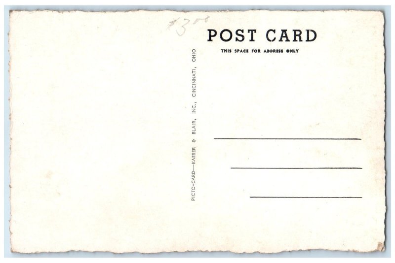 c1940's Roadside Geyser Sinclair Gas And Oils Woodside UT Advertisement Postcard