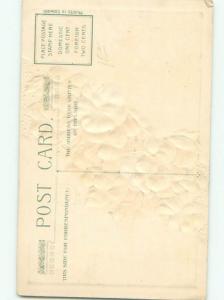 Divided-Back BEAUTIFUL FLOWERS SCENE Great Postcard AA3584