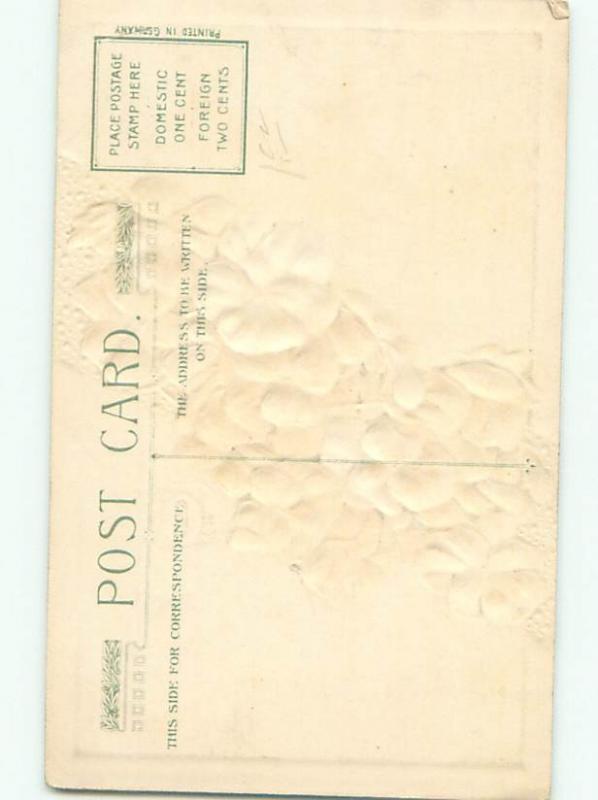 Divided-Back BEAUTIFUL FLOWERS SCENE Great Postcard AA3584