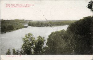 Rock River near Dixon IL view from Hazelwood Bluff c1908 Postcard G81