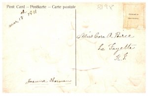 Birthday  Girl and Chickens