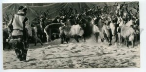 484855 USSR 1973 Kamchatka herd deer photo Muravina Planet circulation 40000