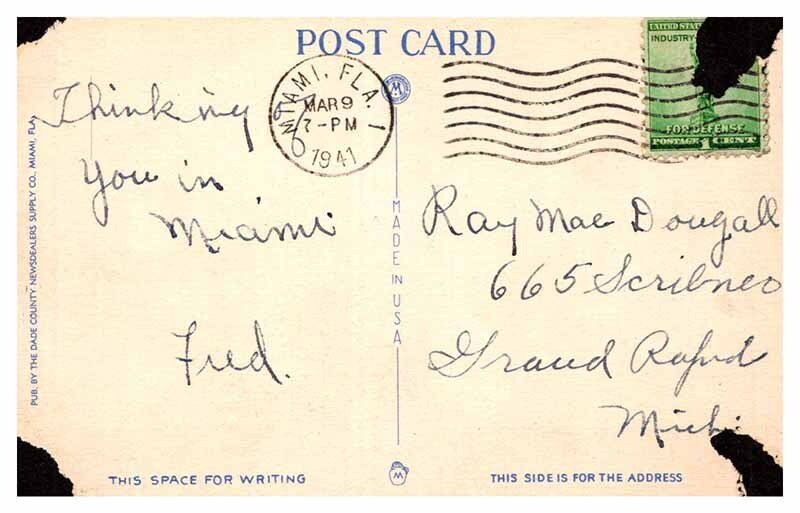 Postcard ANIMAL SCENE Miami Florida FL AR5887