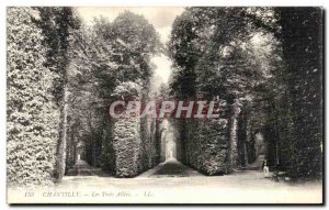 Old Postcard Chantilly Three Allees