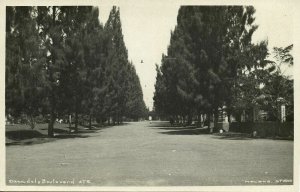 indonesia, JAVA MALANG, Daendels Boulevard (1920s) RPPC Postcard 