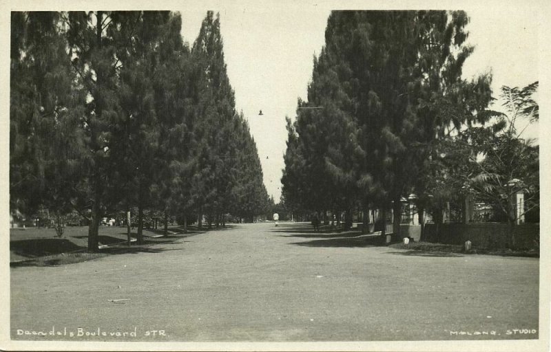 indonesia, JAVA MALANG, Daendels Boulevard (1920s) RPPC Postcard 