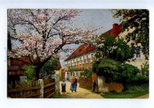 241261 GERMANY village bloom Photochromie 1918 year RPPC