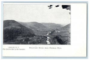c1905 Delaware River From Federal Hill Delhi New York NY Antique Postcard