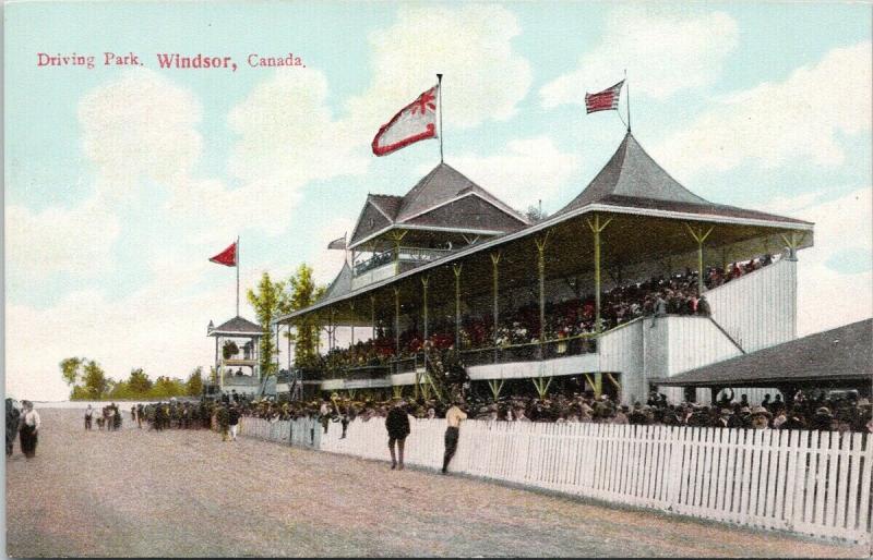 Driving Park Windsor Ontario ON Horse Racing Track Unused Postcard E43 