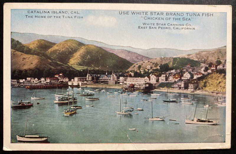 Mint USA Advertising Postcard White Star Tuna Fish Chicken Of The Sea 