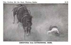 Nebraska Gothenburg , Bronco Riding