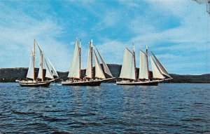 CAMDEN MAINE~SCHOONERS MATTIE MERCANTILE & MISTRESS POSTCARD