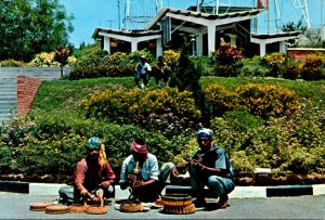 Singapore Mount Faber Indian Snake Charmers At Work