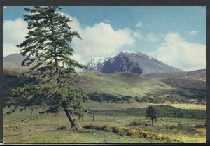 Scotland Postcard - Ben Nevis, Fort William, Inverness-shire  RR3155