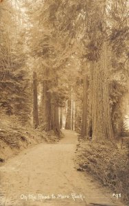 RPPC Moro Rock Road, Kaweah, Lindley Eddy Tulare CA Sequoia Park c1910s Postcard