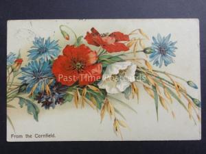 Poppies Postcard FROM THE CORNFIELD c1908 by Misch & Co  - Donation to R.B.L.