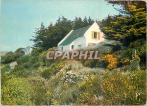 Postcard Modern colors and light of modern France style house in the Breton moor