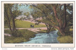 Horse-drawn carriage on dirt road by creek, Scenes near GENEVA, Indiana, 10-20s