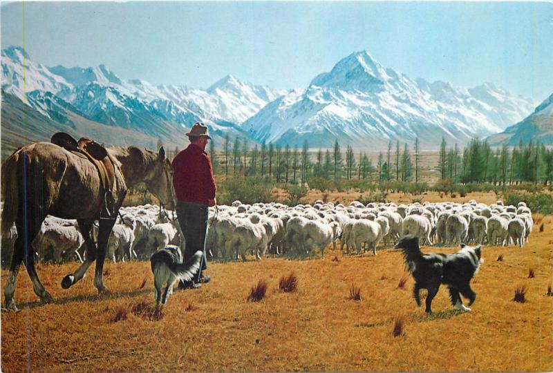 New Zealand Glentanner Station mustering sheep Mt. Cook butterfly stamp 