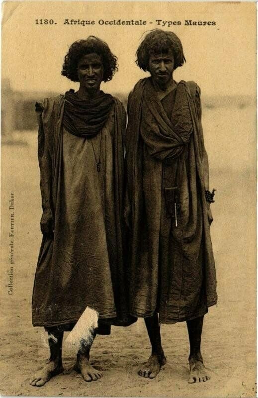 CPA Mauritanie – Type Maure – Timbre Très Bon état – Années 1910 – Ethnique