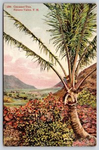 Hawaiian Territory~Nuuanu Valley Panorama~Cocoanut Tree~c1910 Postcard