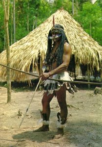 brazil, Amazonas, Native Ipixunas Indian, Bow and Arrow (1980s) Postcard