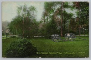 Altoona Pennsylvania~Old Cannon In Lakemont Park~Vintage Postcard