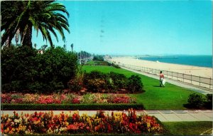 Bluff Park Long Beach  California CA 1962 Chrome Postcard B4