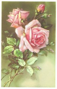 Alfred Mainzer Two Pink Roses 5 Rose Buds Printed in Belgium