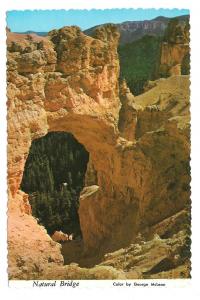 Utah Natural Bridge Bryce Canyon National Park Postcard