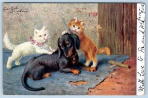 1907 DACHSHUND DOG PUPPY PLAYFUL CATS KITTENS SENT TO BRISTOL RI POSTCARD